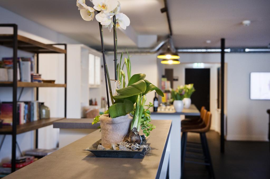 "De Bank" - Hotel Apartments Harlingen Ngoại thất bức ảnh